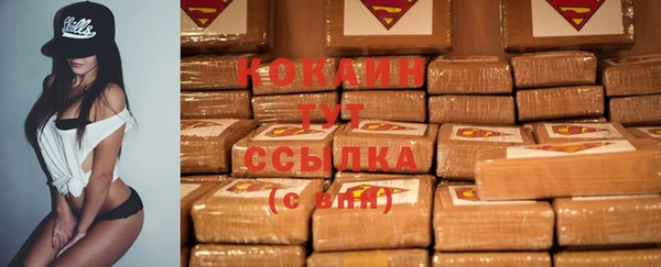 СК Елизово
