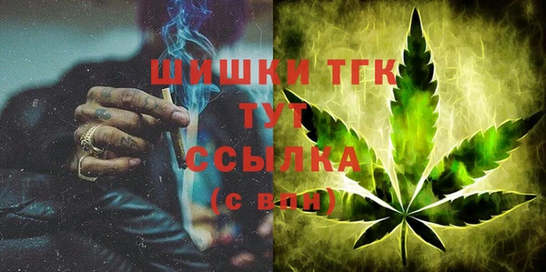 PSILOCYBIN Елабуга