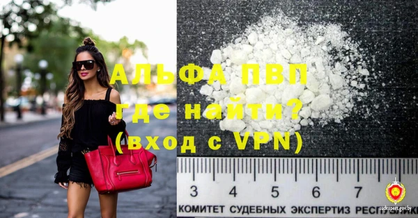 СК Елизово