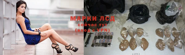 СК Елизово
