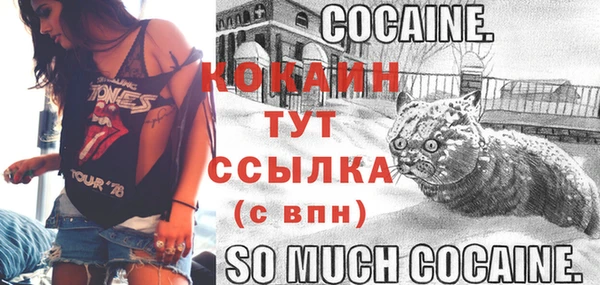 гидропоника Ельня