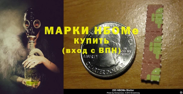 СК Елизово