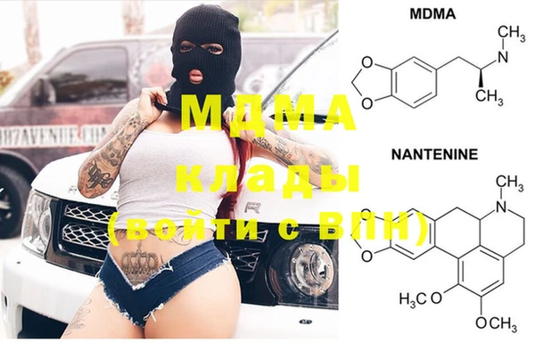 СК Елизово