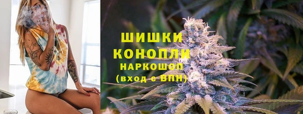 PSILOCYBIN Елабуга