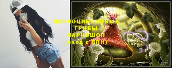 СК Елизово