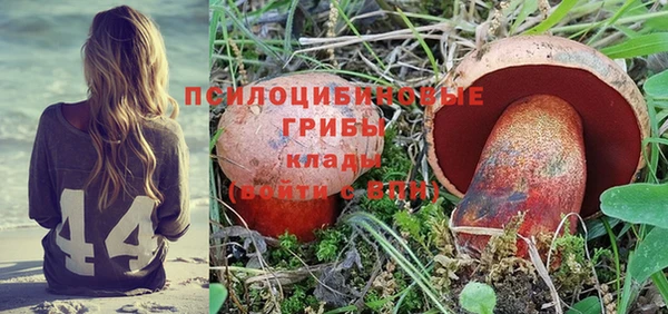 СК Елизово