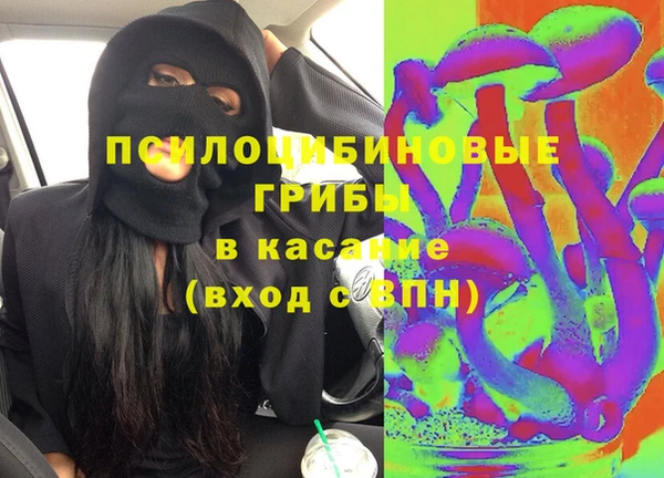 СК Елизово
