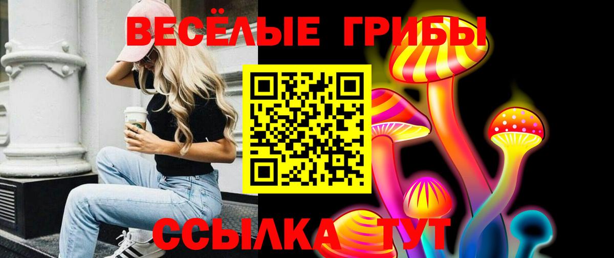 Псилоцибиновые грибы Psilocybe  Вход с VPN  Протвино 